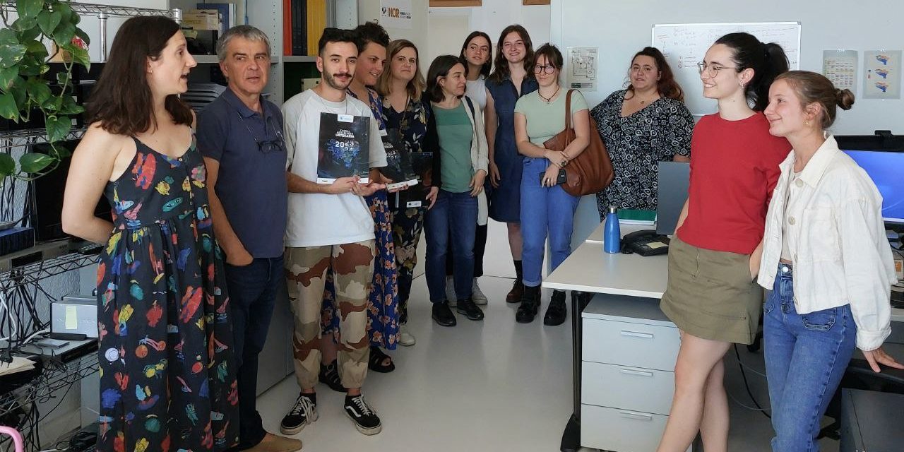 diploma bisita